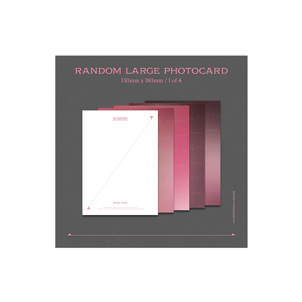 BORN PINK Exclusive Box Set - Pink Version - Image 6