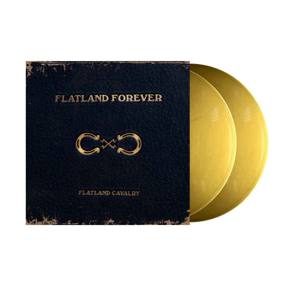 Flatland Forever (Liquid Gold Color Vinyl) - Image 2