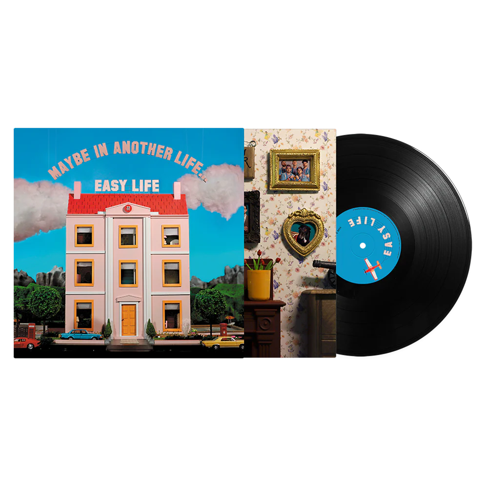 'MAYBE IN ANOTHER LIFE' STANDARD VINYL